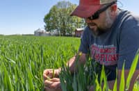 U.S. farmers strained as fertilizer costs surge