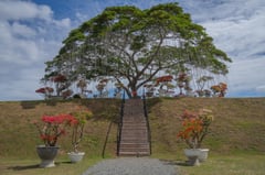 Nature, memory and modern growth: A landmark rooted in time