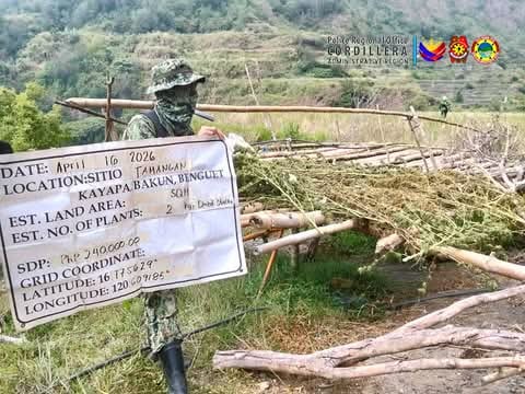 Cordillera police arrest 2, seize P1.55 million in drugs