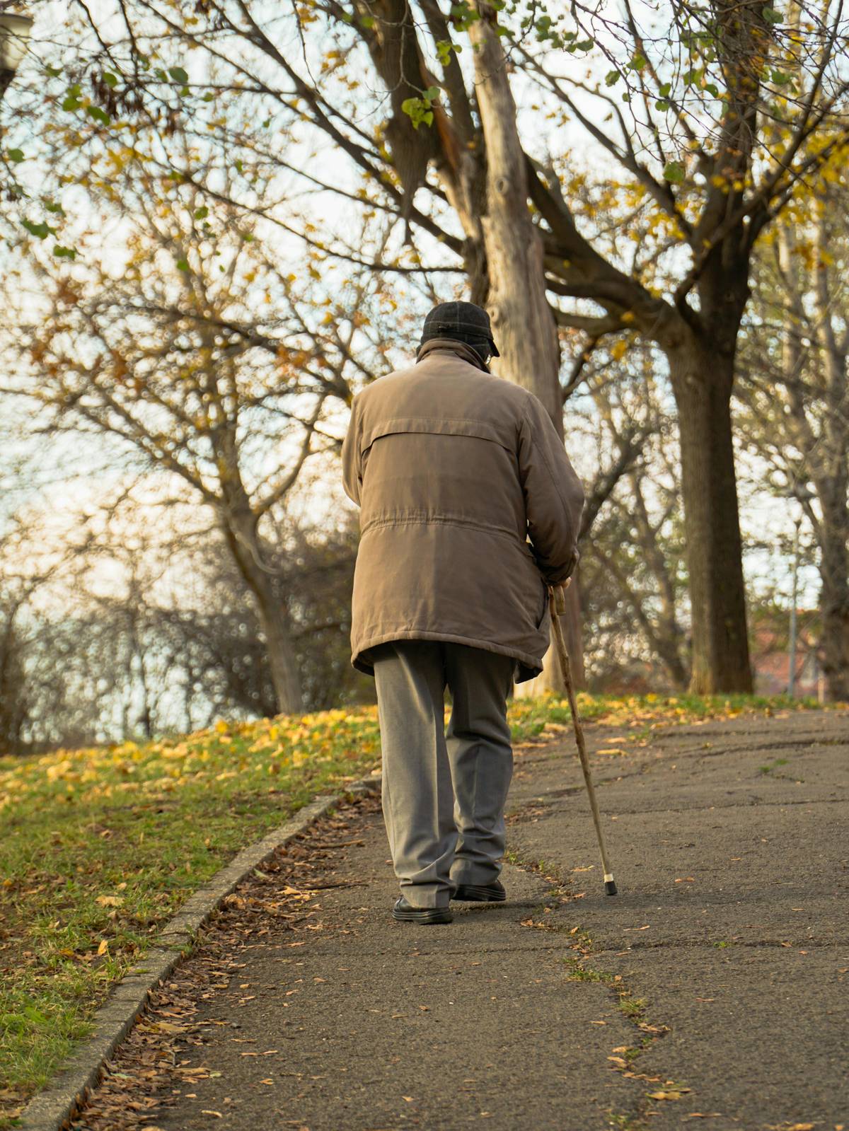 Independence in old age is built quietly through daily habits of movement and care.