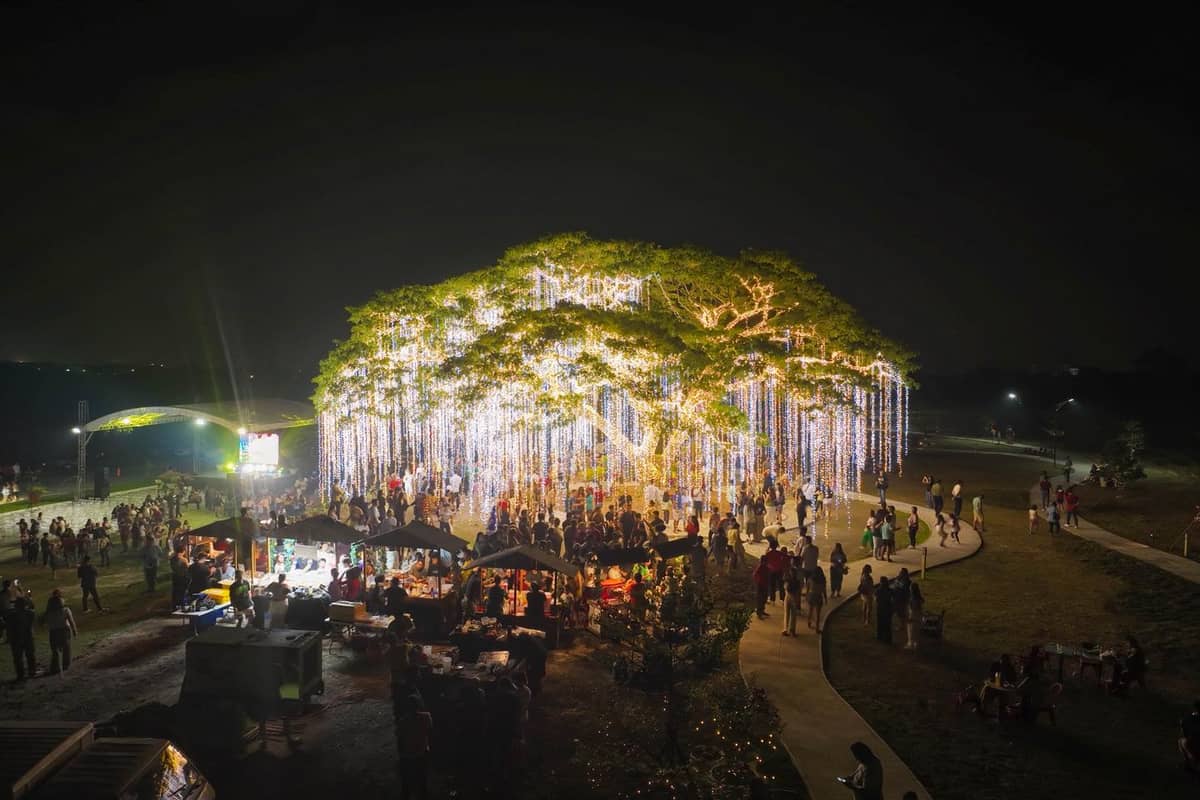 MORE than just giving shade, the Villar Heritage Tree literally gives life to Villar City.