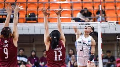 SHAINA Nitura and the Adamson Lady Falcons go after a Final Four slot when they face the Far Eastern University Lady Tamaraws on Saturday in Season 88 UAAP women’s volleyball tournament.