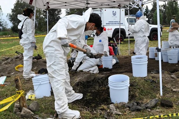 Bone fragments found in lake                  