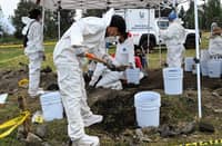 Bone fragments found in lake