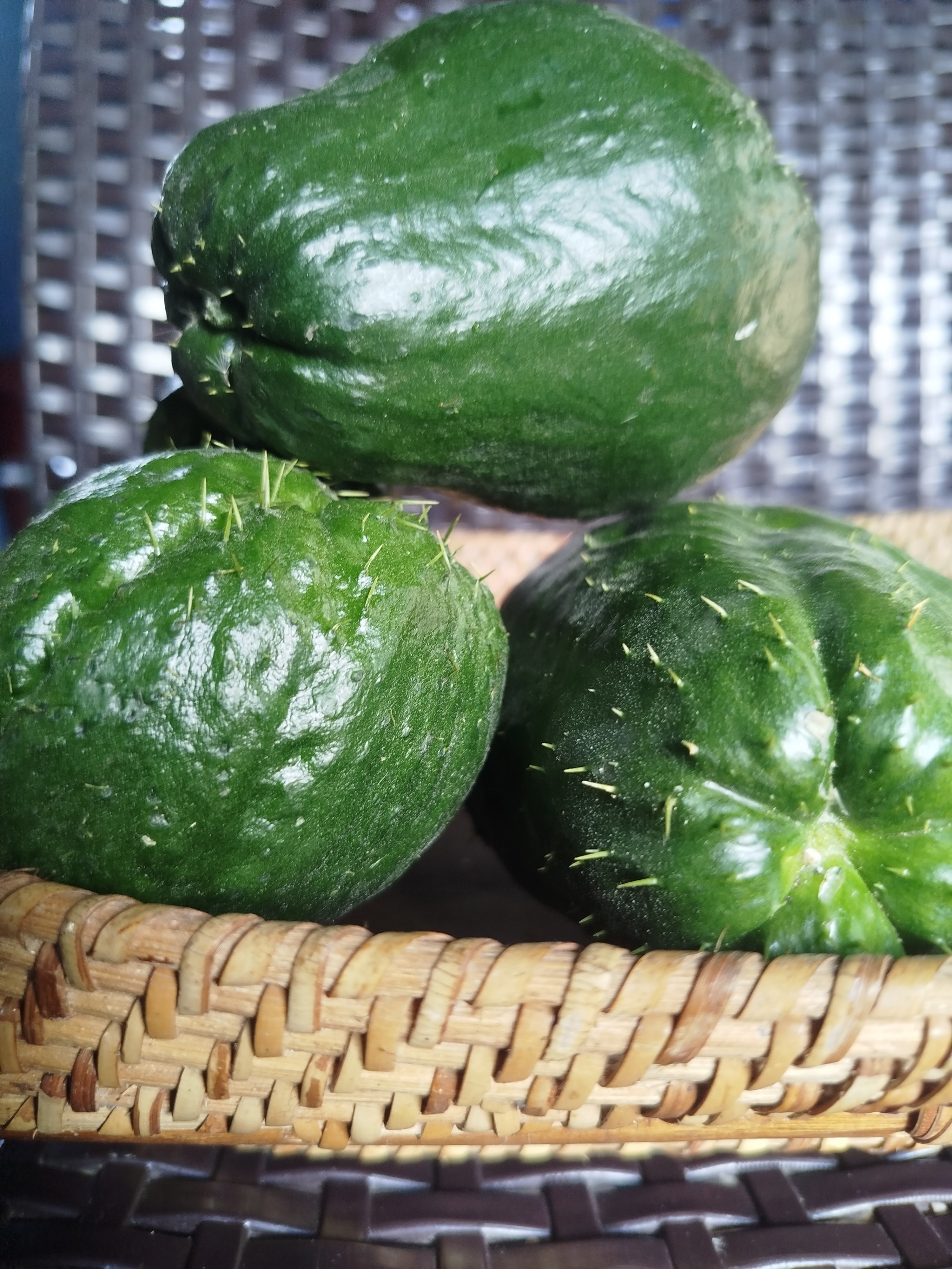Benguet launches weeklong vegetable floor price trial