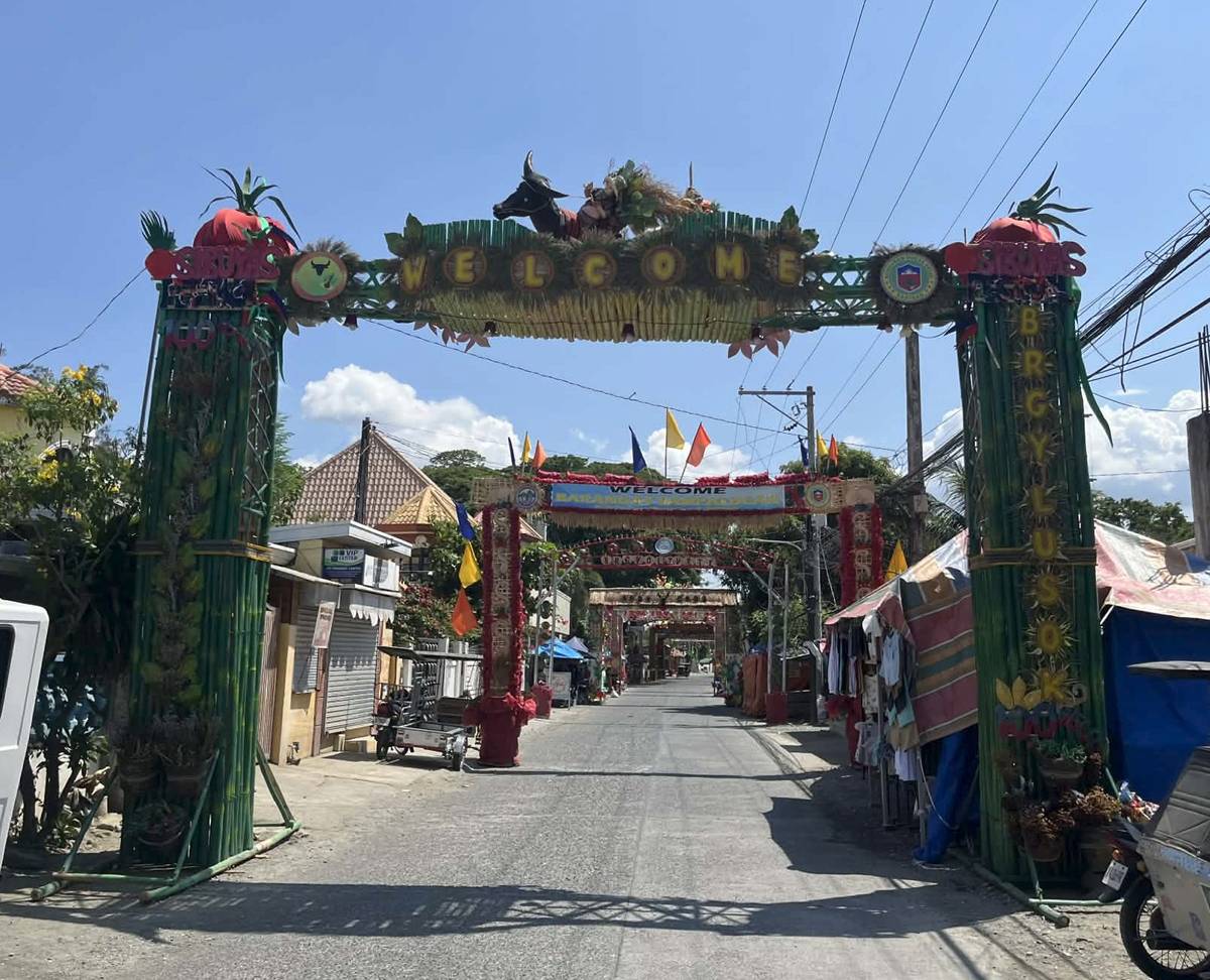 Bongabon’s Sibuyas Festival showcases arch-making tradition | Daily Tribune