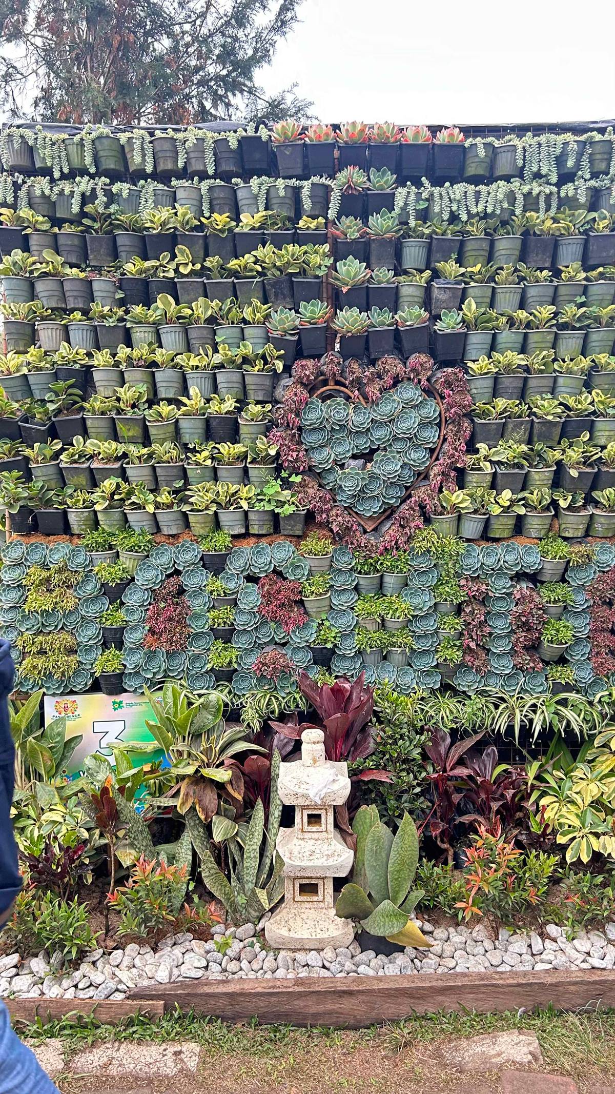 A manicured vertical verdant exhibit.