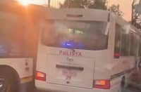 Probe for viral EDSA Busway crash involving cop vehicle sought