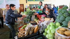 Ample food supply eases impact of fuel hikes — DA
