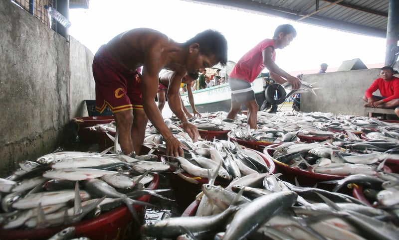 Davao fisheries capacity gets P46-M lift