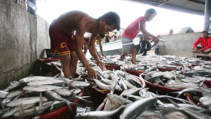 Davao fisheries capacity gets P46-M lift
