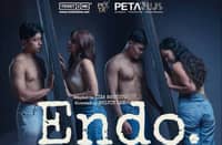 THEATER REVIEW: 'Endo,' a solid narrative competing with constant motion