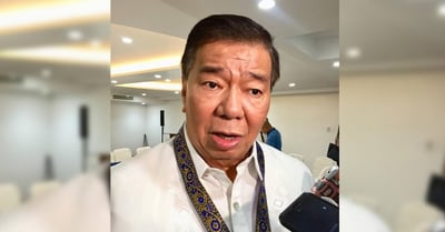 Drilon: Co not qualified to be state witness
