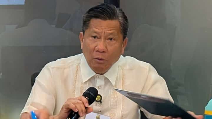 CEBU City Mayor Nestor Archival