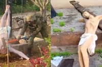 Israel PM vows 'harsh action' against soldier vandalising Jesus statue in Lebanon