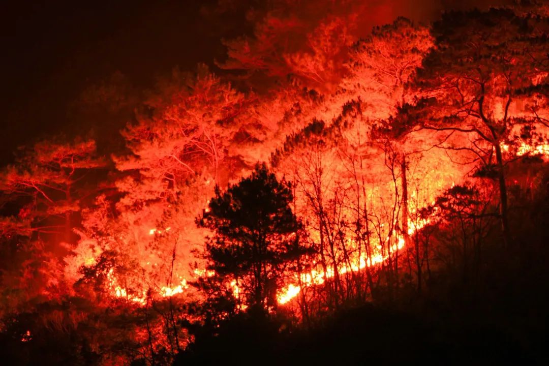 Bonfires, rubbish burning among causes of Mountain Province fires — BFP