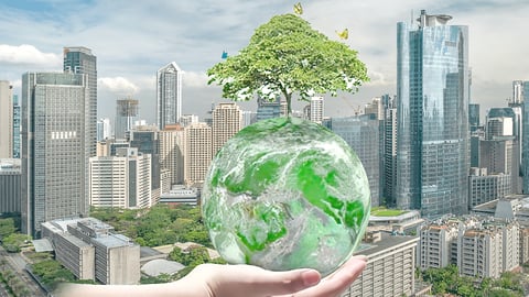 Earth Day: A reality check for homegrown firms