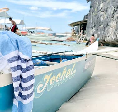 EARTH beach towel.