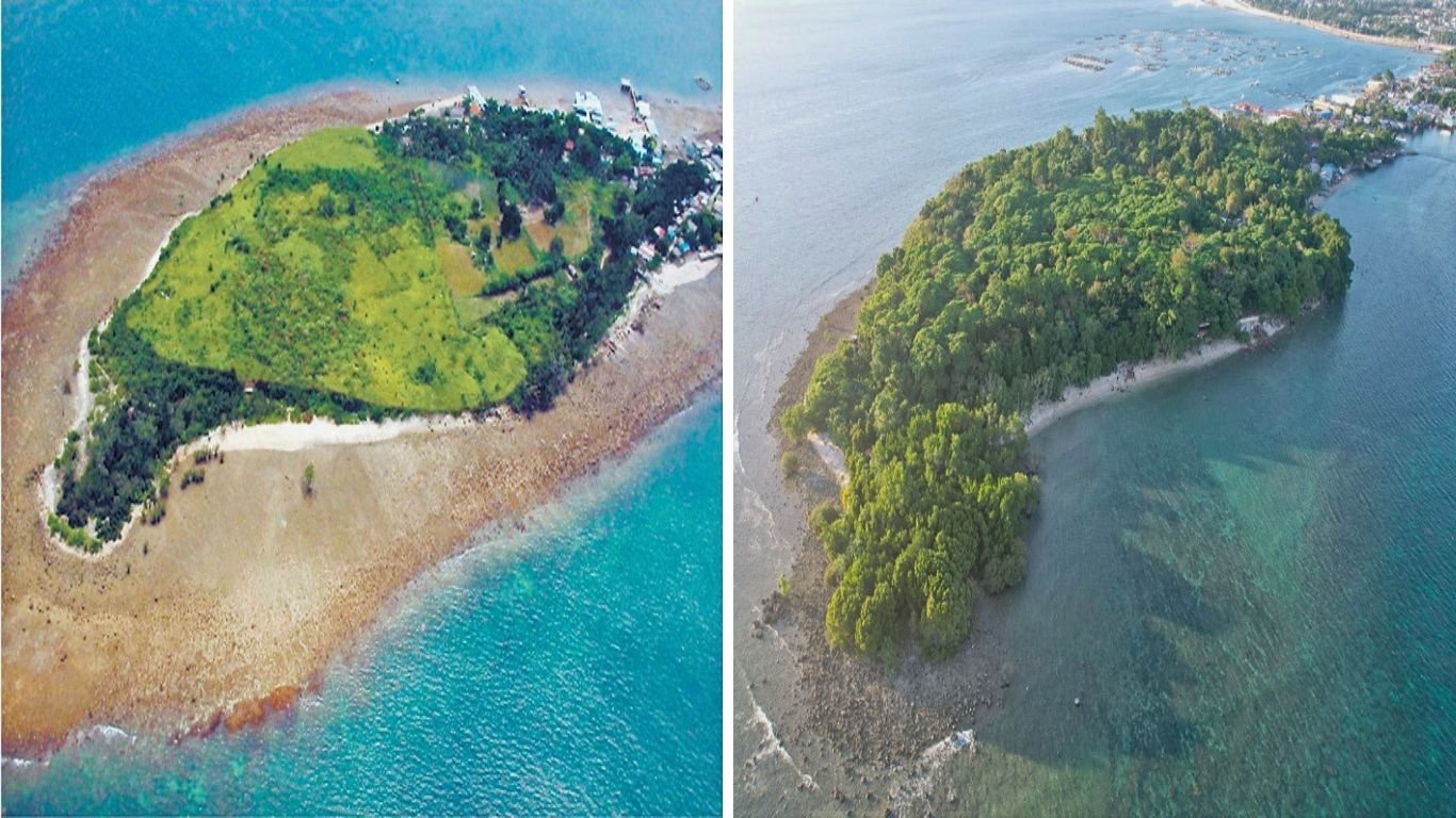 Earth day bayanihan grows coastal hope: AboitizPower helps transform vulnerable coastlines into protective natural barriers