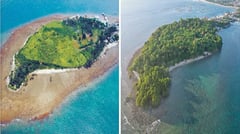 Earth day bayanihan grows coastal hope: AboitizPower helps transform vulnerable coastlines into protective natural barriers