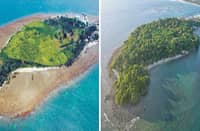 FROM a sandbar and grassland in 2009 (left), a coast in Punta Dumalag, Davao City, managed by the Aboitiz Cleanergy Park, is now dense with mangroves and trees (right). This is in part due to the collective efforts of volunteers in sustaining the Park’s mangrove reforestation site.