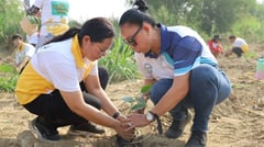 Volunteers plant 300 trees in Rizal for climate resilience