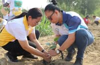 VOLUNTEERS take part in a tree-planting activity in Barangay Sta. Ana, San Mateo, Rizal, as part of a multi-sector effort to promote environmental protection and community-based climate resilience.