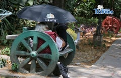 Umbrella To Protect Heat