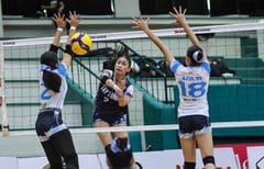 Bacolod Tay Tung crushes Canossa