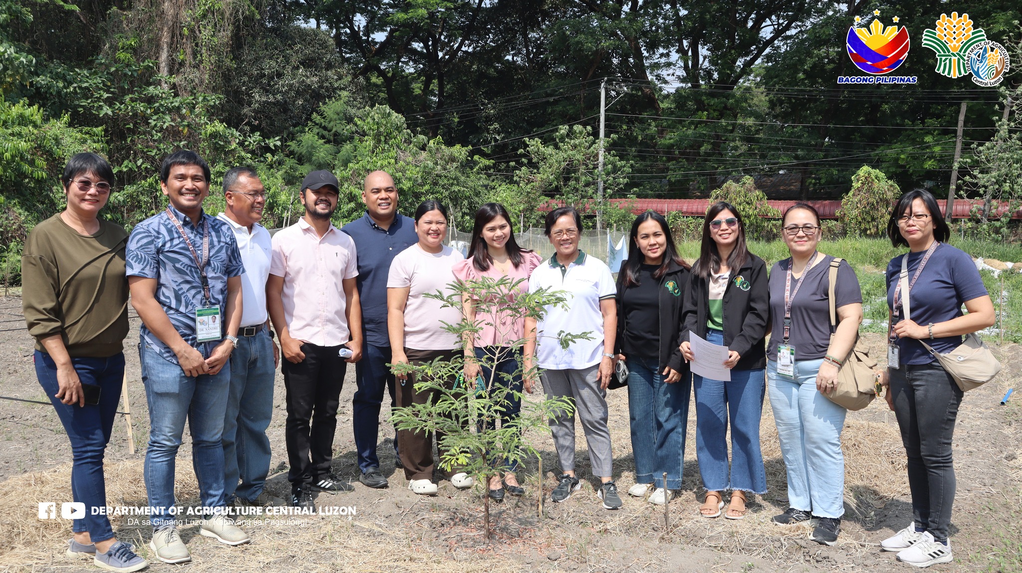 DA holds Plant Material Certification Activity at PSAU