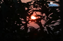 Red sunrise