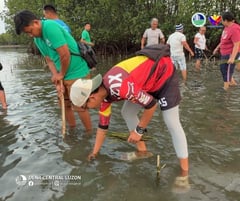 Revitalizing nature’s own flood control, stakeholders conduct mangrove rehab