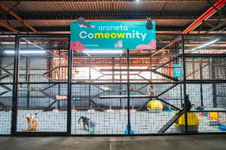 Araneta City launches ‘CoMEOWnity’ for stray cat welfare