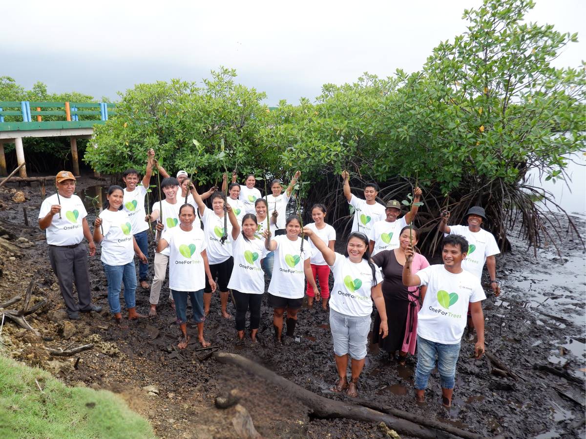 DEL Carmen, Surigao del Norte. Members of KAMAMANA, with the help of OFT and the local government, are more enabled to preserve their mangrove forests from illegal cutting and fishing.