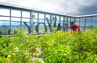 Savoy Hotel Manila promotes mindful stays with sustainability push