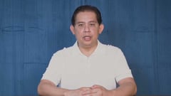 Remulla prejudged Romualdez — counsel