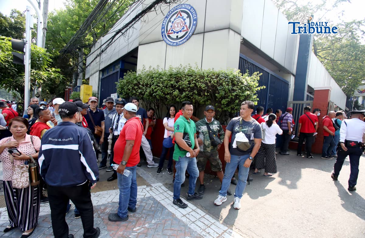 ANALY LABOR