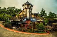 DEAR Joe café stands amid towering pine trees in Crosswinds Tagaytay, offering visitors a quiet retreat in a European-inspired setting.