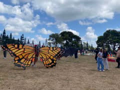 Winners soar at kite flying competition in SMDC Wind Park