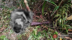 2 rebels killed in Samar clash as Army tightens operations