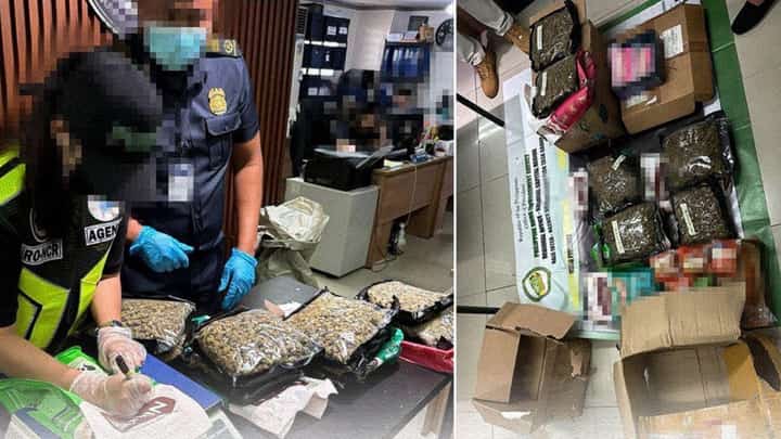 P6.9-M drug parcels intercepted