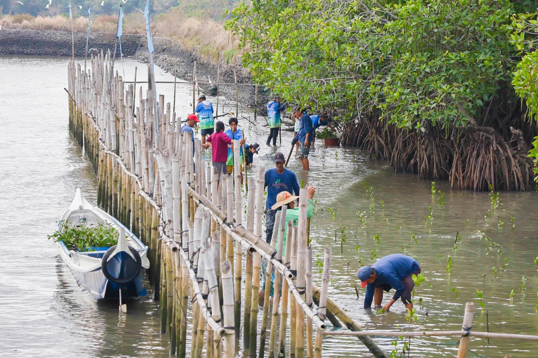 AboitizPower, LGUs, communities partner for thriving Bataan ecosystem