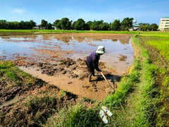 PIDS backs regional push for stronger Southeast Asian agriculture