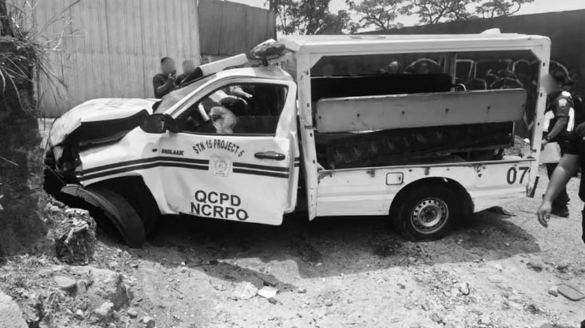 Third-party probe launched into fatal cop mobile crash