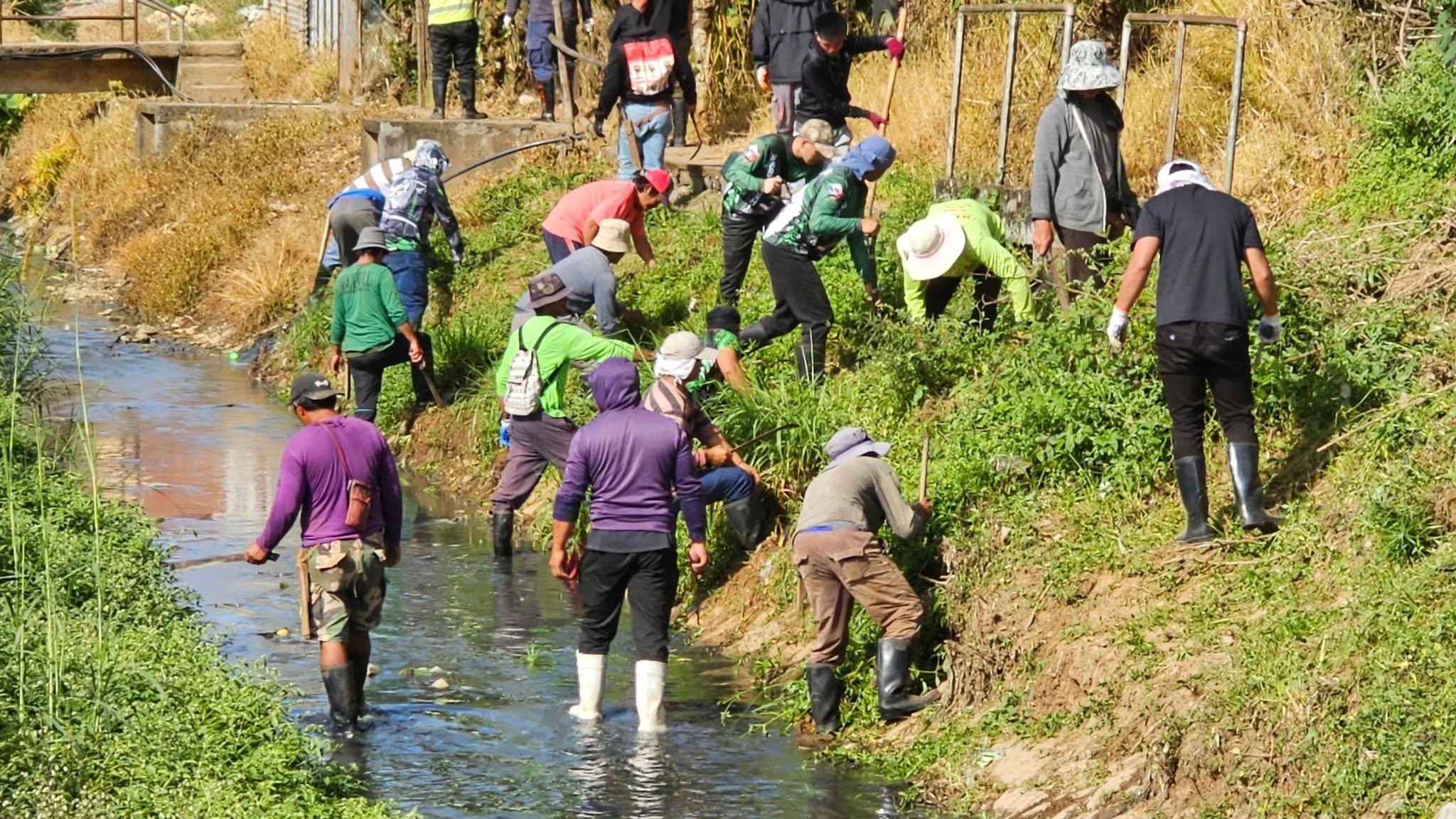 Farmers revive ‘binnadang’ tradition