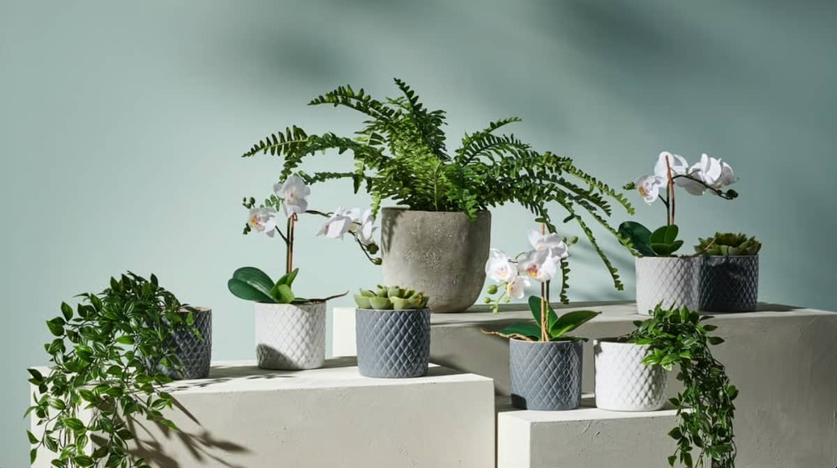 POTS and plants.