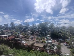 Tombs likely to be displaced by construction of access road in Baguio