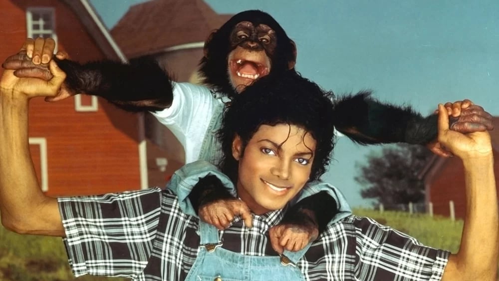 Bubbles, Michael Jackson's chimpanzee, finds life at sanctuary
