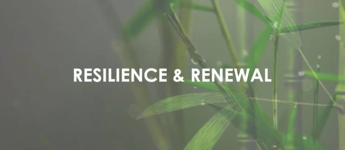 Celebrating 90 years of resilience and renewal, PIA honors its legacy and enduring impact on Philippine architecture.