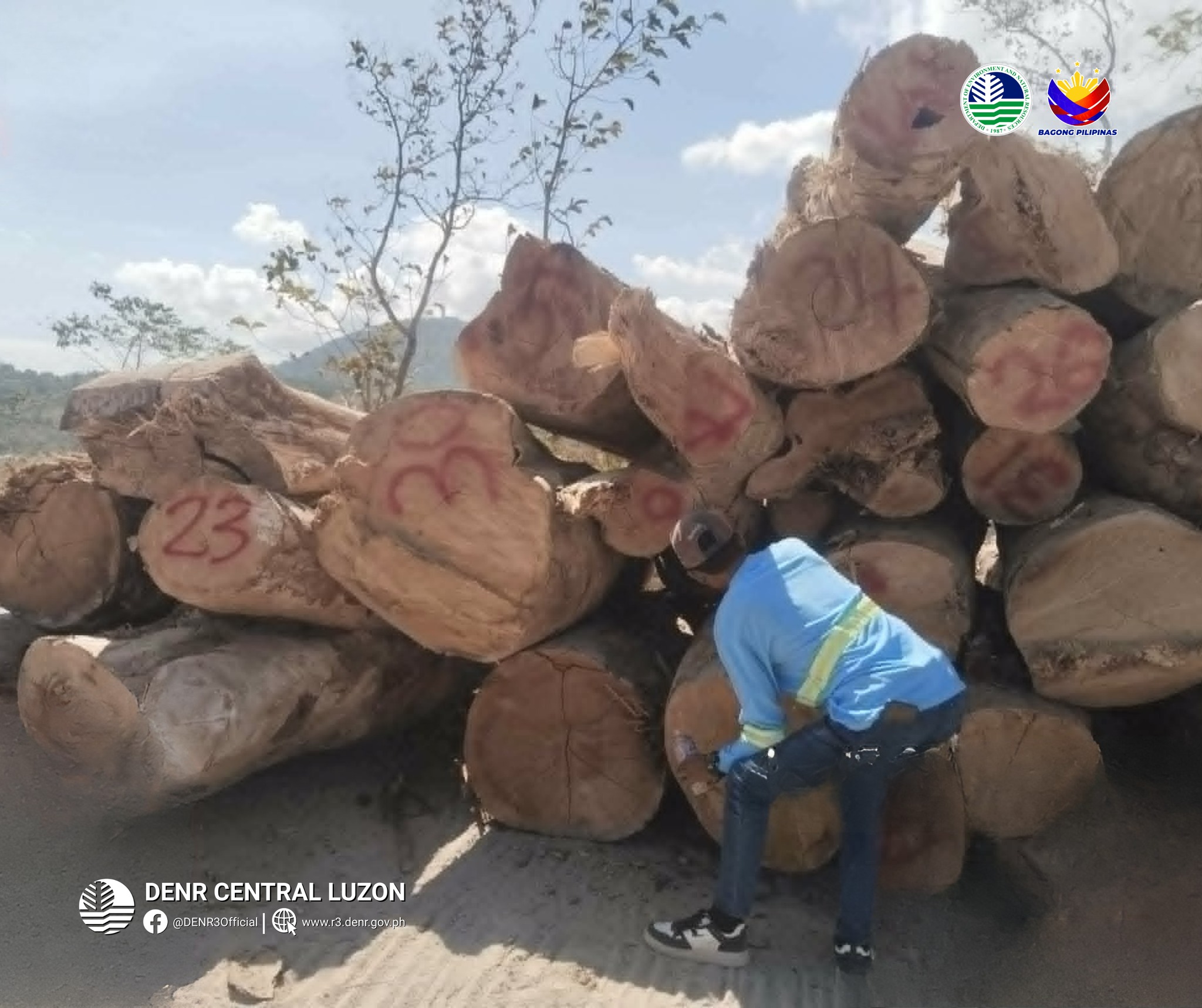 DENR turns over 12,700 board feet of logs to PCG